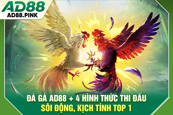 Đá Gà AD88 Với 4 Hình Thức Thi Đấu Sôi Động