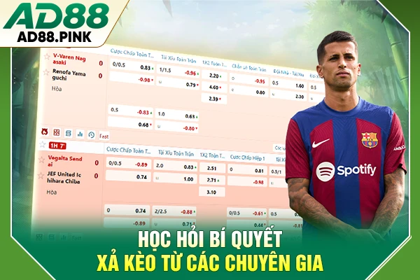 Học hỏi bí quyết xả kèo từ các chuyên gia