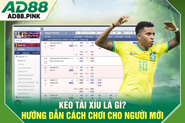 Kèo Tài Xỉu Là Gì? Hướng Dẫn Cách Chơi Cho Người Mới