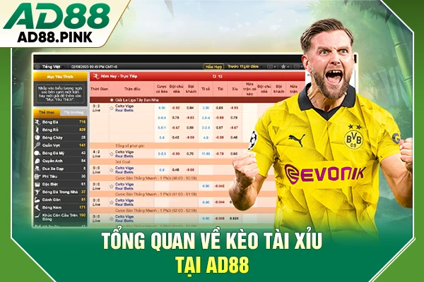 Tổng quan về kèo Tài Xỉu tại AD88